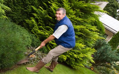 Why Choosing Nursery Hobart TAS Means Healthier Plants for Your Australian Garden