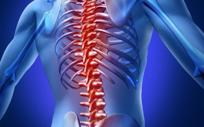 What patients should know about spine surgery, Brisbane specialists, and recovery paths?